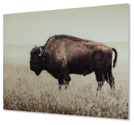 Brutus Wall Art - alternate view 2