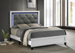 B388 - LED Bed