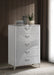 B119 - Chest - White