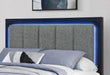 Emma - Queen Bed With LED And USB - Black / Gray - alternate view 3