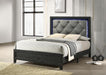 B385 - LED Bed