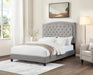 B587 - Bed