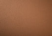D124 - Dining Chair (Set of 2) - Dark Walnut - alternate view 4