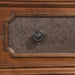 B020 - Chest - Brown - alternate view 2