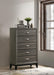 B371 - Chest - Gray