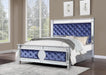 B035 - Velvet Bed - alternate view 2