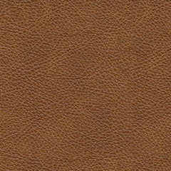 Carianna Sofa, Loveseat, Chair and Ottoman - Raleigh Outlet