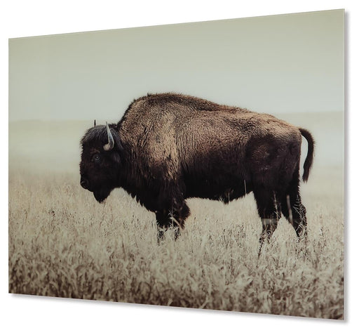 Brutus Wall Art - alternate view 2