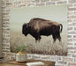 Brutus Wall Art