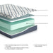 M42551