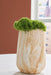 Cammen Vase