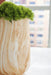 Cammen Vase - alternate view 3
