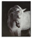 Archerwick Wall Art - alternate view 2