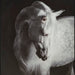 Archerwick Wall Art - alternate view 7