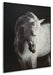 Archerwick Wall Art - alternate view 4