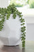 Karenton Vase - alternate view 3