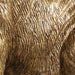 Wadeland Poly Table Lamp (1/CN) - alternate view 5