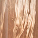 Dushby Vase - alternate view 5
