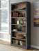 Wildenauer Bookcase
