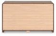 Fortlorn Dresser - alternate view 6