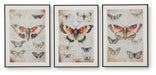 Jossletts Wall Art Set (3/CN) - alternate view 2