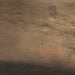 Wallmen Tray - alternate view 5