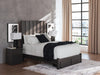 Parlayon Queen Panel Storage Bed, Dresser and Mirror - alternate view 14